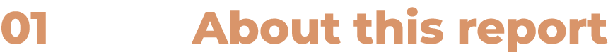 01 About this report