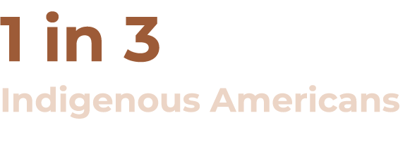 1 in 3 Indigenous Americans