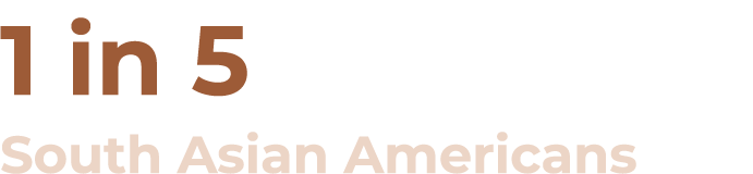 1 in 5 South Asian Americans